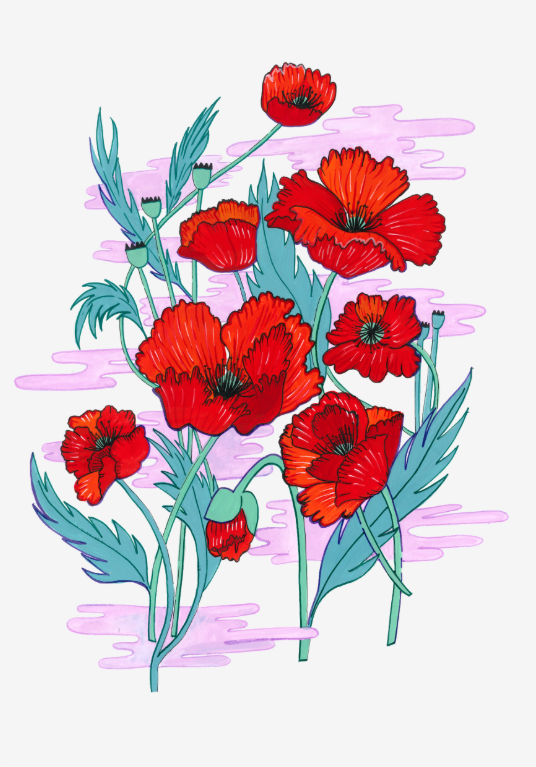 Red Poppy